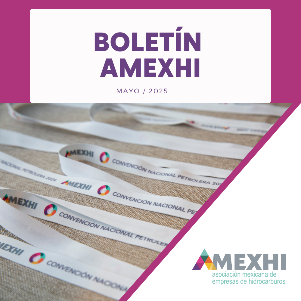 boletín mayo página